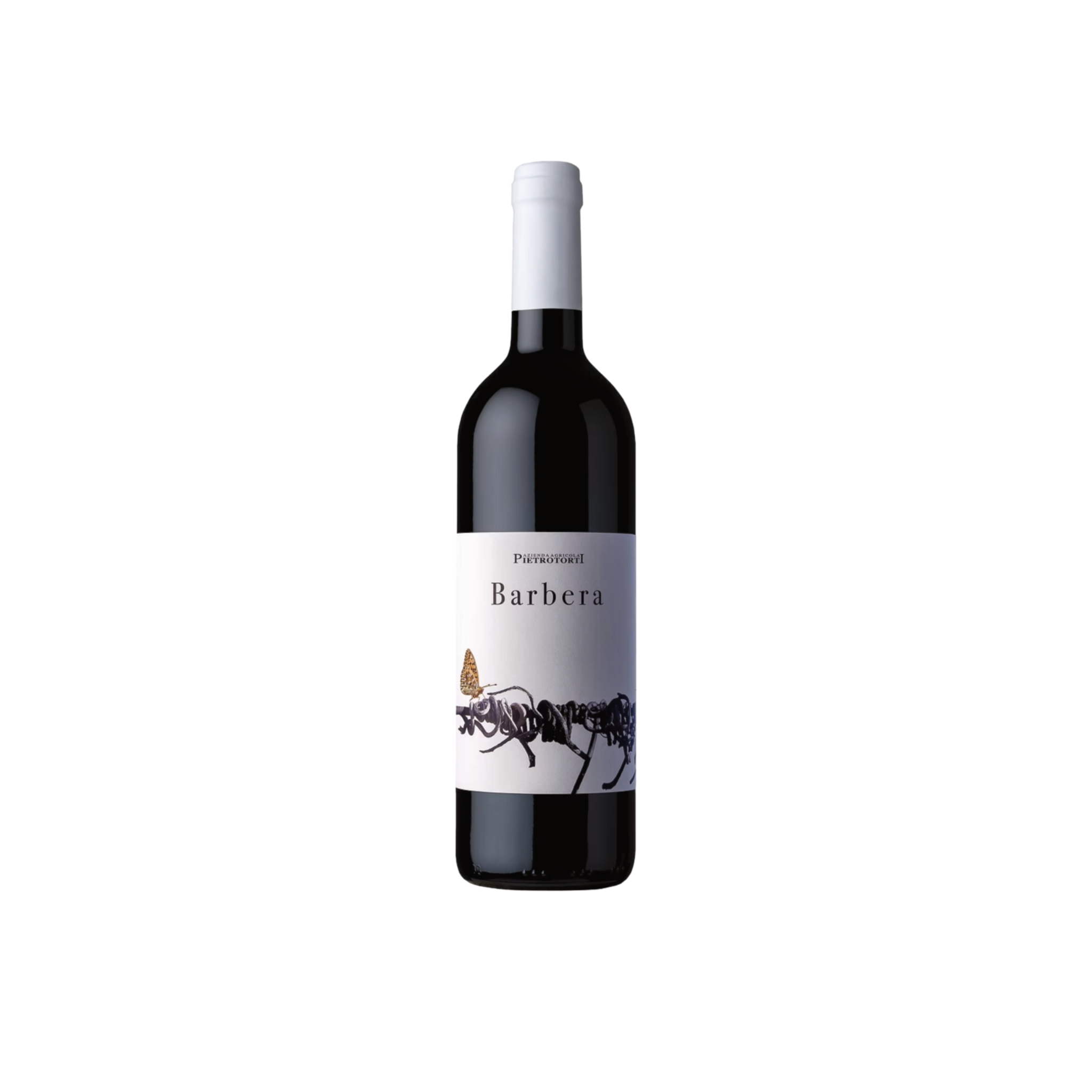 Barbera dell’Oltrepò Pavese D.O.C.