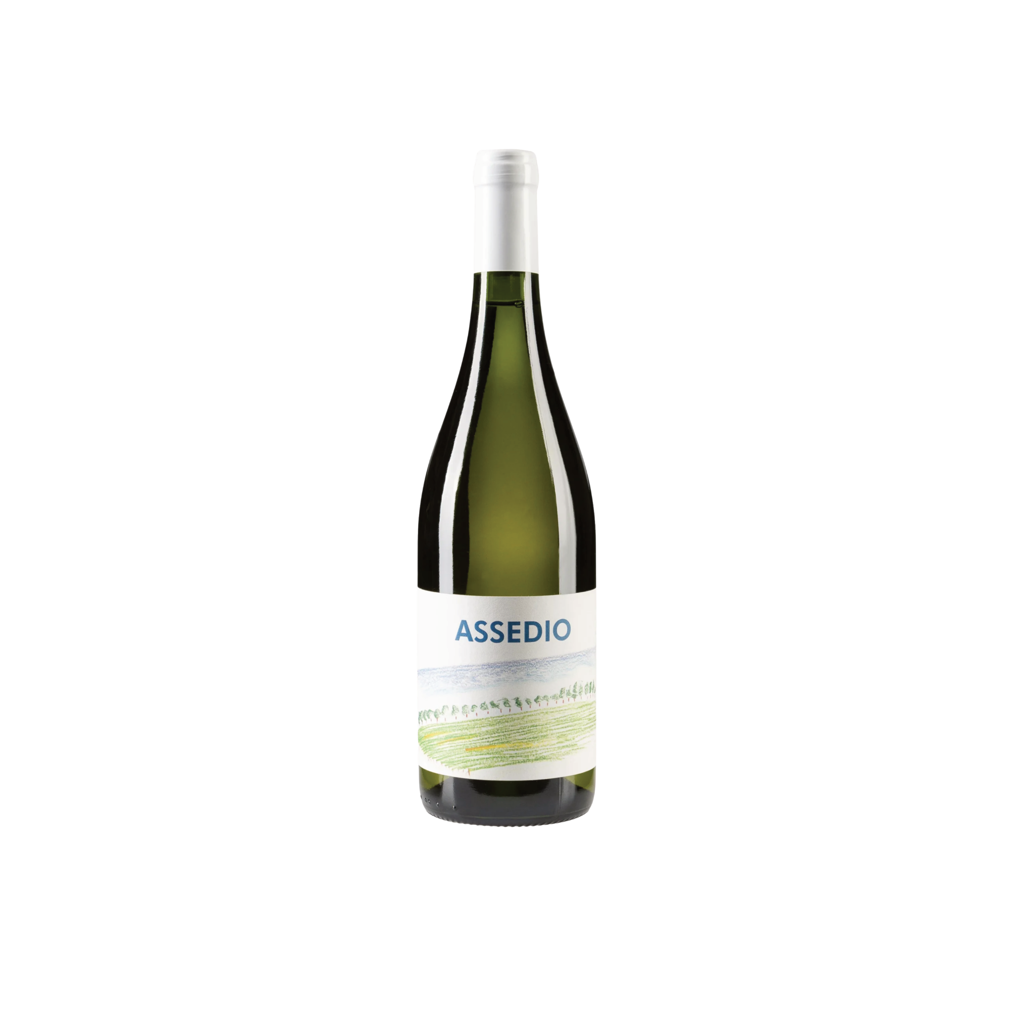 Assedio Sauvignon Blanc