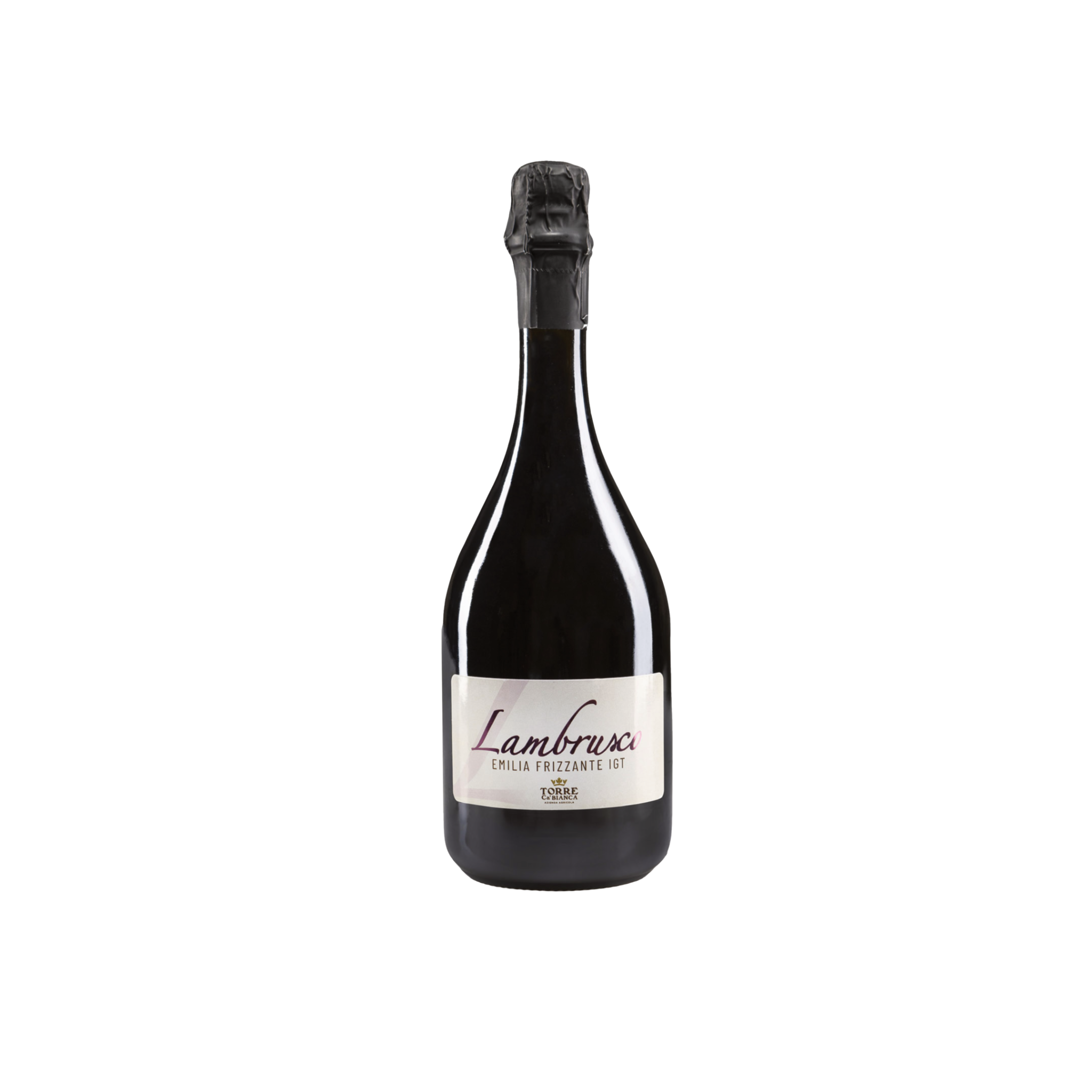 Lambrusco Emilia Frizzante IGT