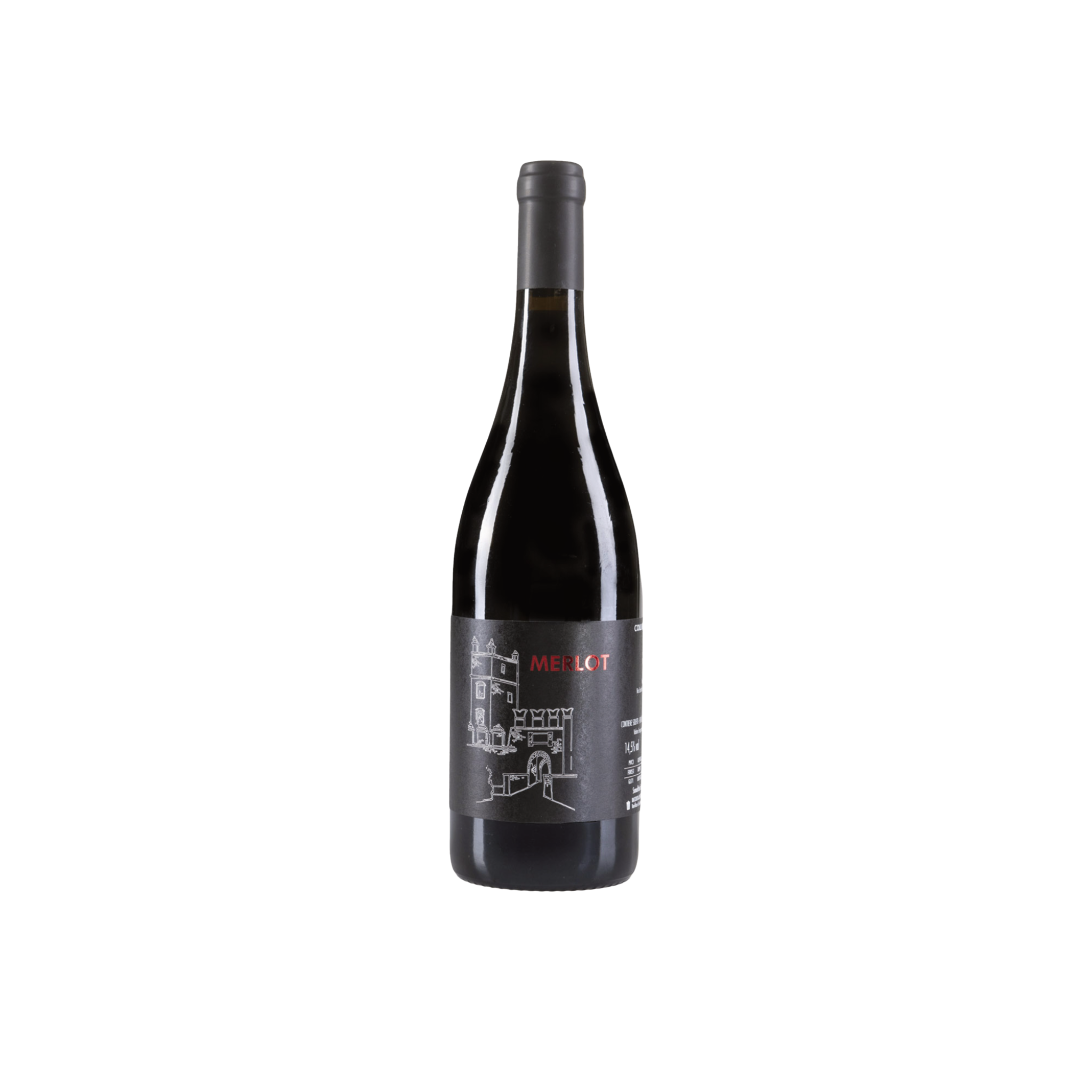 Merlot Colli Bolognesi DOC